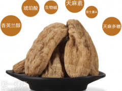 云南昭通小草坝天麻 专家详解其价格
