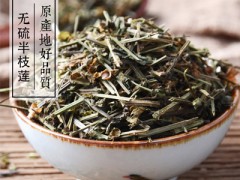 半枝莲有抗癌作用吗 半枝莲抗癌效果如何