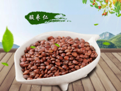 酸枣仁的功效是什么    盘点酸枣仁的禁忌事项