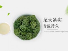 三七花有什么功效   详解三七花的功效及适用人群