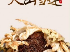 天山雪莲花多少钱一朵 它的价格和质量有没有关系