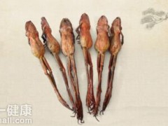 雪蛤对卵巢有什么好处 雪哈辅助治疗效果神奇