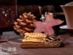 冬虫夏草真假对比 四招让假冬虫夏草无所遁形