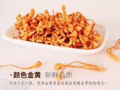 虫草花有假的吗 五个步骤辨别真假虫草花