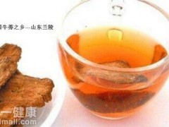 哪里的牛蒡茶最好 教您挑选品相俱佳的牛蒡茶