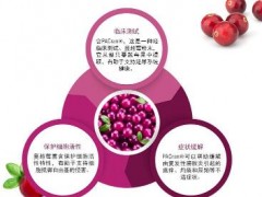 蔓越莓精华的作用 详解蔓越莓精华的作用及适用人群