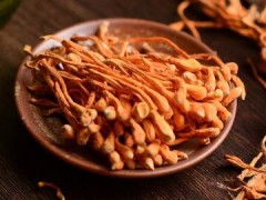 野生蛹虫草价格趋势如何 盘点野生蛹虫草价格趋势