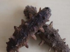 海参一天吃多少最好 它有哪些副作用