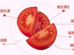 番茄红素十大品牌排行榜 哪个品牌最好