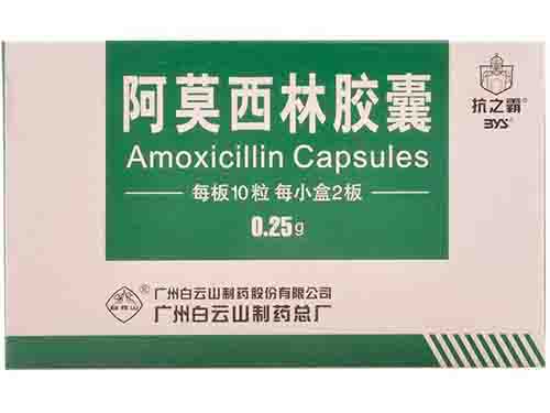 阿莫西林胶囊多少钱一盒