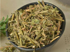 益母草一天喝几次较好 益母草什么时候喝最好
