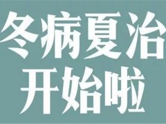 三伏贴是什么药 三伏贴好用吗