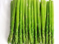 增强免疫力的食物有哪些？怎么通过饮食增强免疫力？