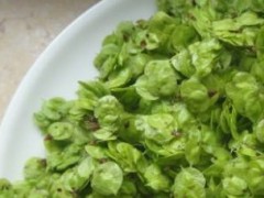 榆钱有什么特点？榆钱有什么作用