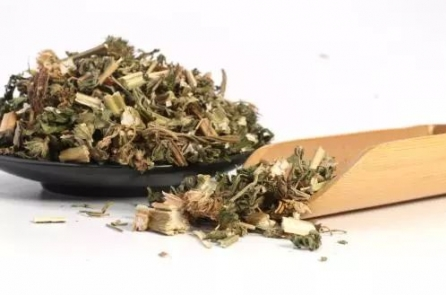 益母草有什么功效和作用禁忌 女人吃益母草的好处