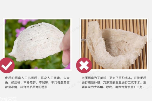 燕窝真假怎么分辨 注意3点再也不会上当