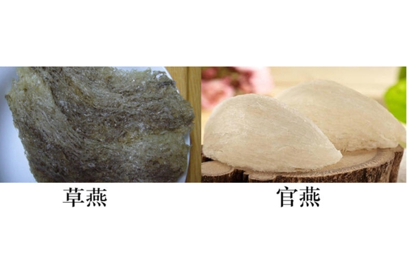 燕窝真假怎么分辨 注意3点再也不会上当