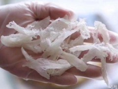 燕条和燕窝有什么区别 燕条有什么营养价值