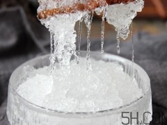 雪燕功效与作用是什么？雪燕哪些人不宜吃