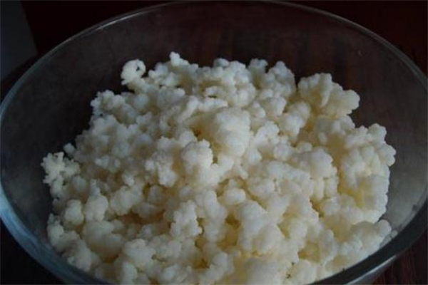 雪莲菌是什么 雪莲菌的功效与作用