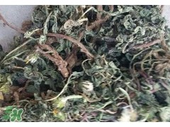 蒲公英怎么晒干?蒲公英怎么晒成干?
