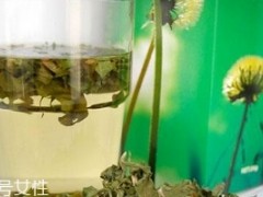 蒲公英茶哪些人不宜喝？这三种人要避开