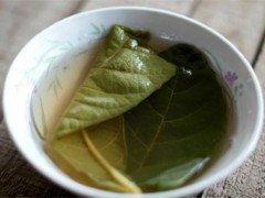 枇杷叶煮水用老叶还是新叶 枇杷叶煮水可以用新叶吗