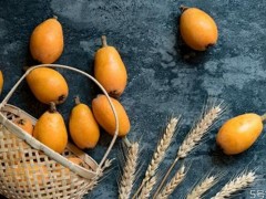 枇杷果能直接吃吗 枇杷果怎么吃治咳嗽