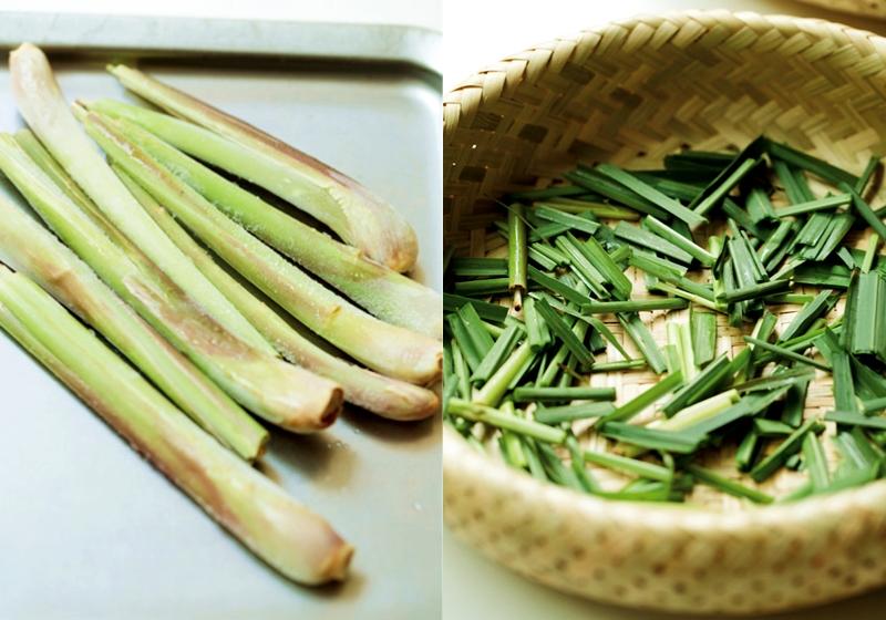 柠檬草如何种植 柠檬草怎么种植
