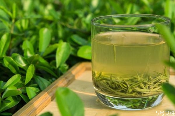 绿茶有什么功效呢 喝绿茶有什么好处呢