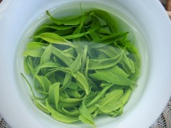 绿茶是什么味道 四种混合味道