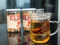 灵芝茶多少钱一盒 灵芝茶怎么泡