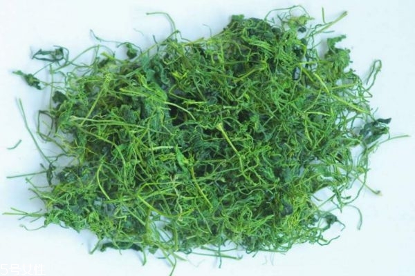 绞股蓝泡水喝能减肥吗 绞股蓝茶泡水喝的功效作用