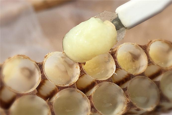 新鲜蜂王浆怎么吃好 有两种吃法 新鲜蜂王浆怎么吃好 有两种吃法
