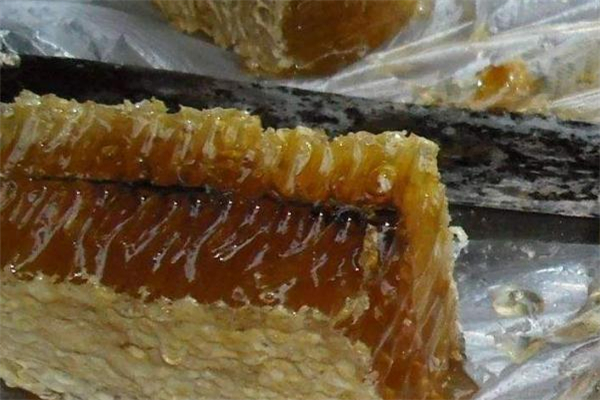 蜂巢蜜怎么吃 蜂巢蜜可以直接吃吗