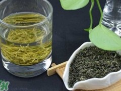 碧螺春属于什么茶？碧螺春和铁观音哪个好