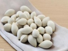 白果是什么做的 白果是什么做的