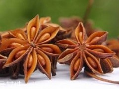 八角籽能吃吗 功效与作用