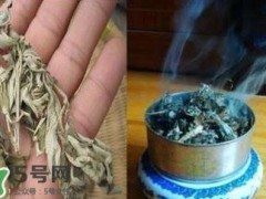 艾叶可以驱蚊子吗？艾叶能驱蚊子吗