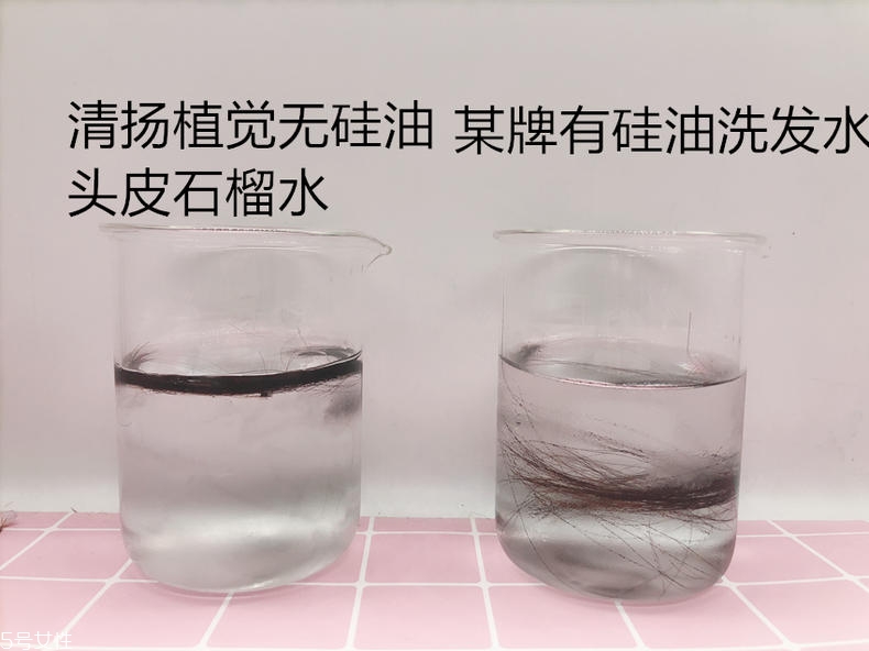 清扬植觉洗发水怎么样 给头皮也用爽肤水