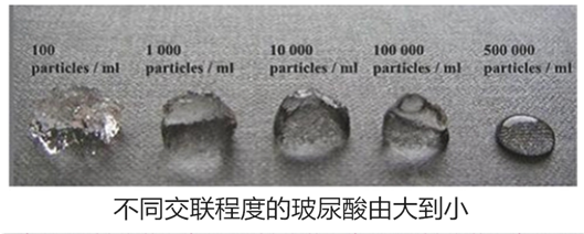 瑞蓝二号玻尿酸能维持多久 瑞蓝2号和3号的区别