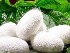 面膜什么材质最补水 蚕丝面膜补水效果最好