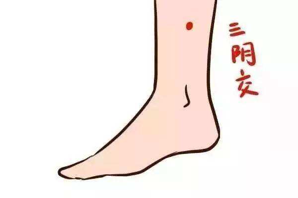 经络按摩减肥有效吗 经络按摩减肥有什么特点 经络按摩减肥有效吗 经络按摩减肥有什么特点