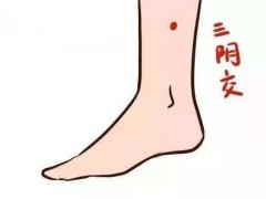 经络按摩减肥有效吗 经络按摩减肥有什么特点