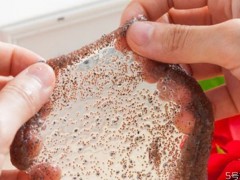 海藻面膜可以每天敷吗 海藻面膜前几次使用连着用几天