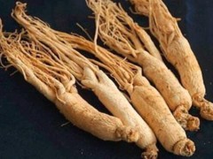 怎么鉴别人参