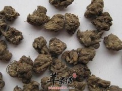 叶象花的功效与作用