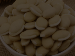 白扁豆图片