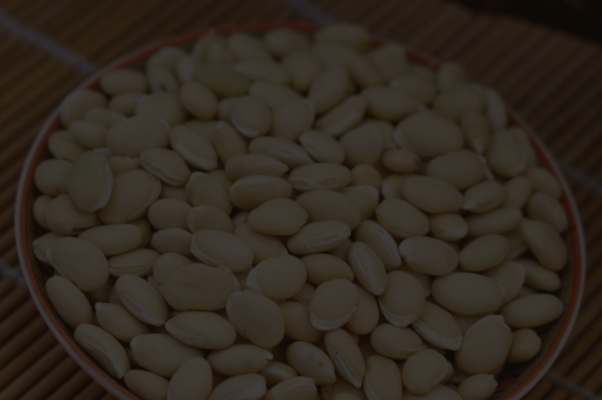 白扁豆图片