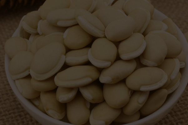 白扁豆图片